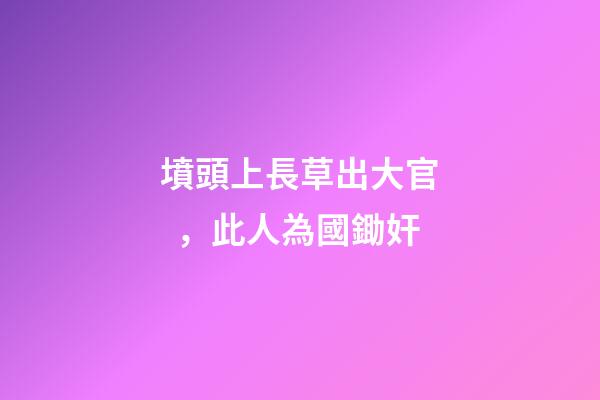 墳頭上長草出大官，此人為國鋤奸